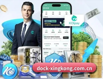 dock-xingkong.com.cn APP